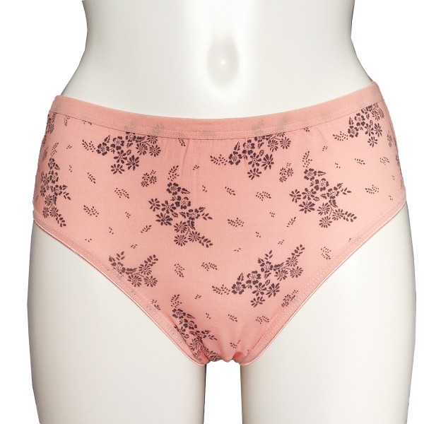 6 Stück Damen Slips Unterhosen,Unterwäsche,Hüftslip Verschidene Farben 5004